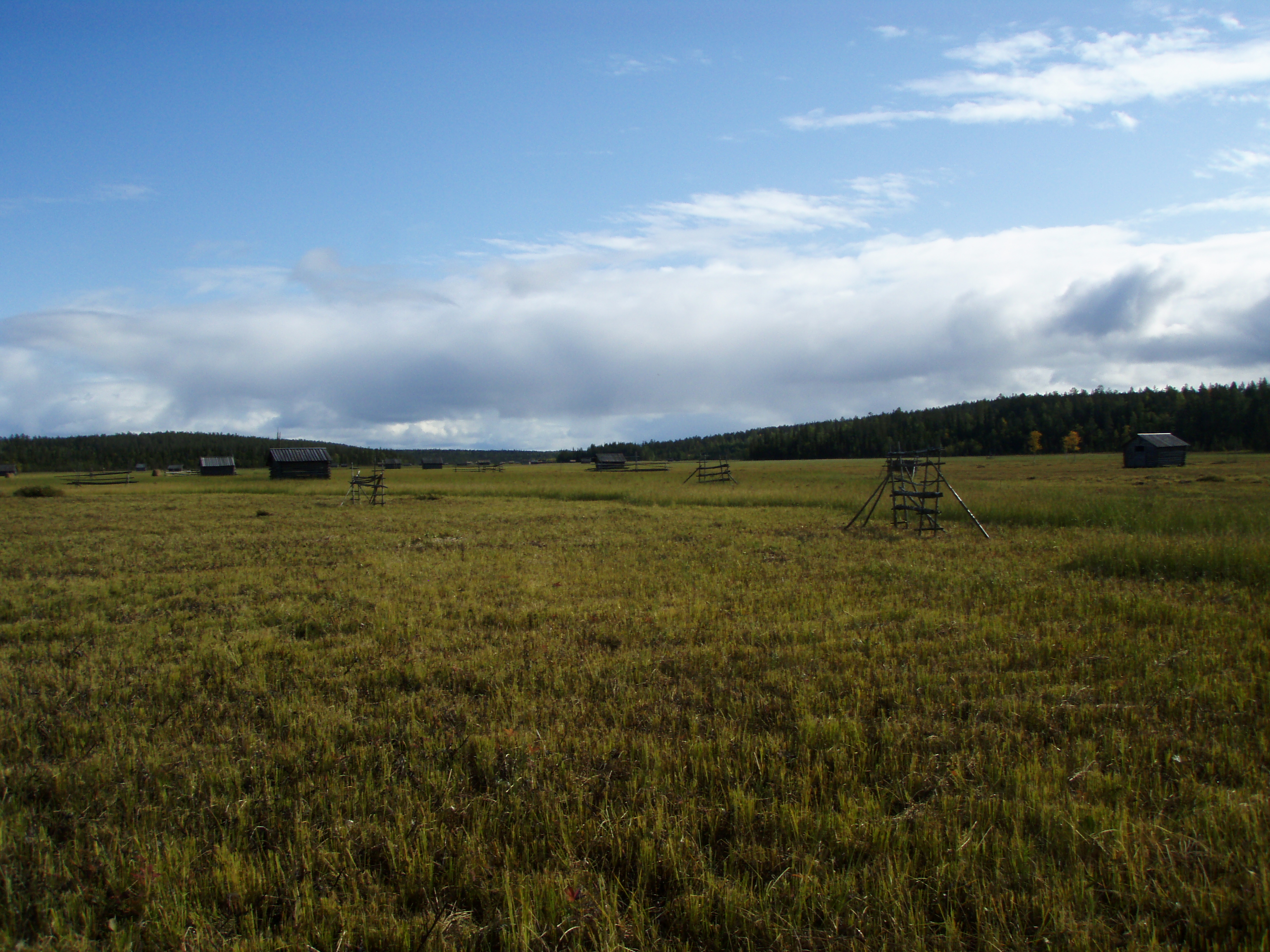 Mowing of the mire